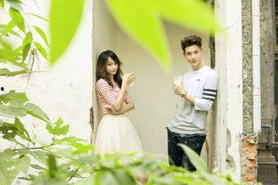 娱乐百分百晨翔文雨非,晨翔文雨非的甜蜜互动幕后故事